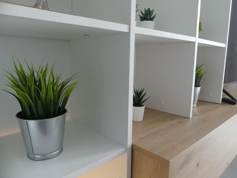 19 Piso Centrico, Nuevo Y Bien Equipado En La Trinidad Apartament La Laguna (Tenerife)